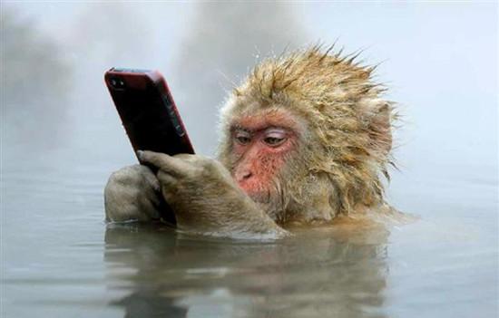 �ձ�һ����߅�ݜ�Ȫ߅���֙C��Ƭ�@�zӰ�����D��