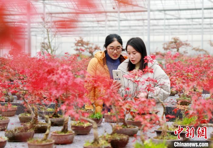 ���(y��ng)�h������ľ���a(ch��n)���ą^(q��)70%���ϵĴ�W(xu��)���I(y��)���x���l(xi��ng)��(chu��ng)�I(y��)�������A�� �z
