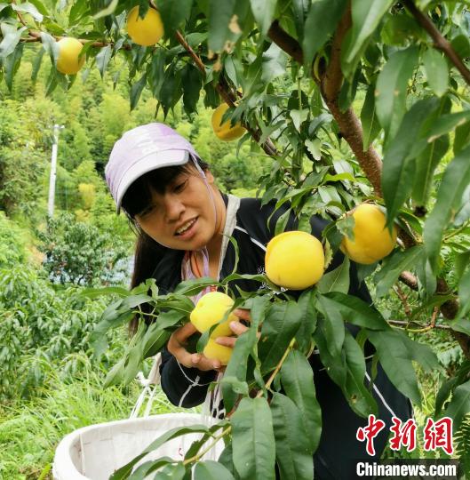�踣�m�����Nֲ���S����(�Y�ψD) ���L�߹��D